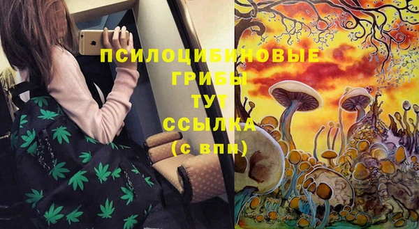 бутират Майский