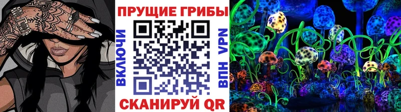 Галлюциногенные грибы MAGIC MUSHROOMS  Шилка 